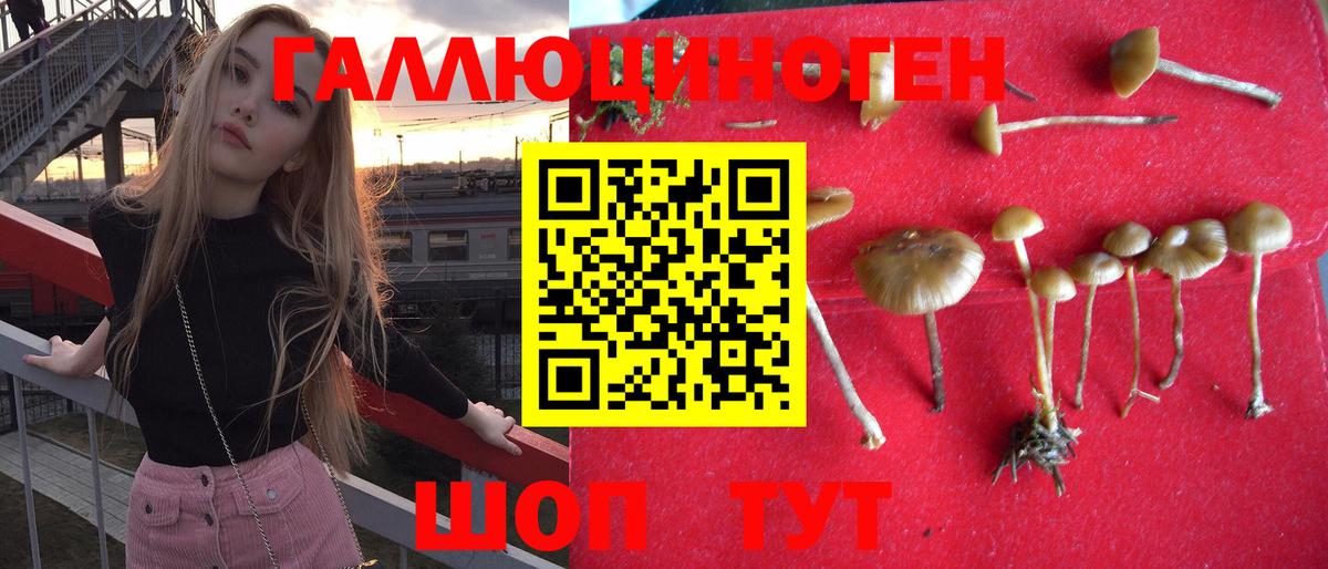 Сальск  Псилоцибиновые грибы мицелий  Псилоцибиновые грибы ЛСД  Вход с VPN 
